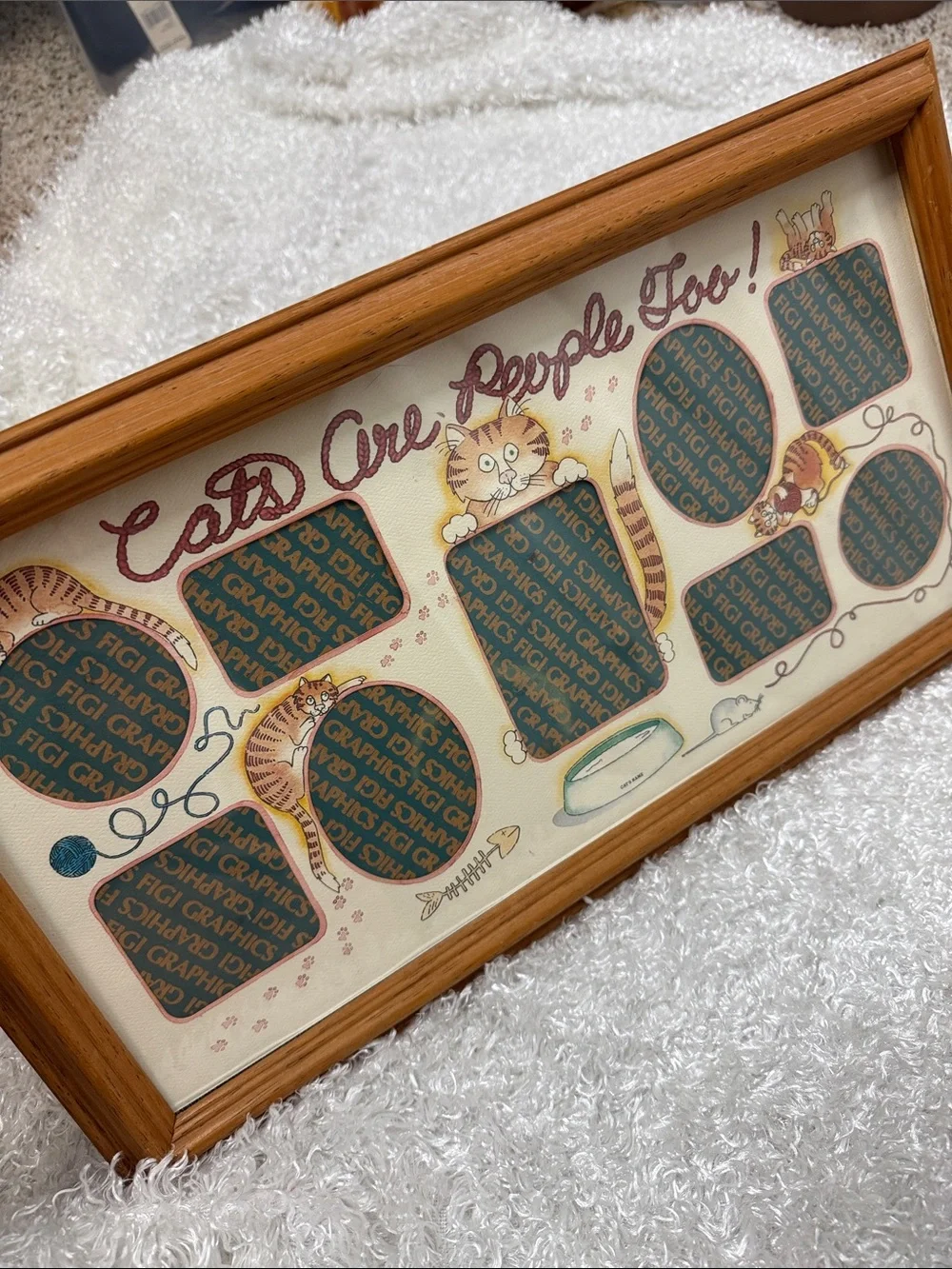 Framed picture holder for cats only!